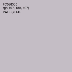 #C5BDC5 - Pale Slate Color Image