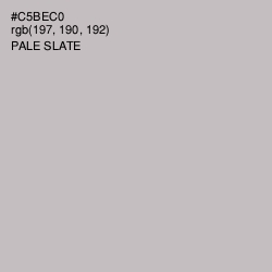 #C5BEC0 - Pale Slate Color Image