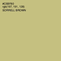 #C5BF80 - Sorrell Brown Color Image