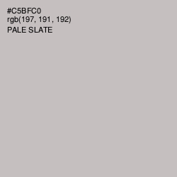 #C5BFC0 - Pale Slate Color Image