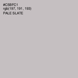 #C5BFC1 - Pale Slate Color Image