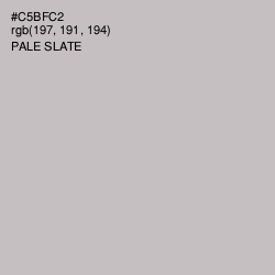 #C5BFC2 - Pale Slate Color Image