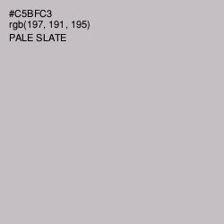 #C5BFC3 - Pale Slate Color Image