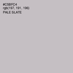 #C5BFC4 - Pale Slate Color Image