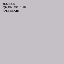 #C5BFC6 - Pale Slate Color Image