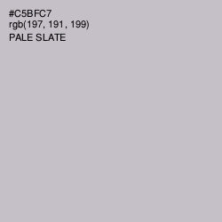 #C5BFC7 - Pale Slate Color Image