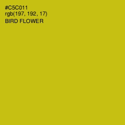 #C5C011 - Bird Flower Color Image