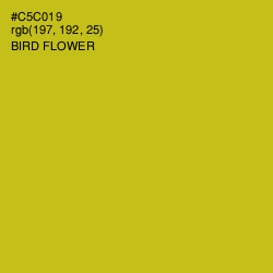 #C5C019 - Bird Flower Color Image