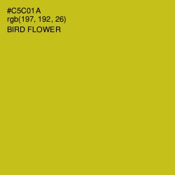 #C5C01A - Bird Flower Color Image
