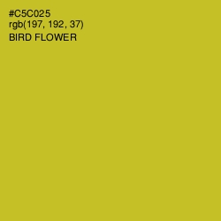 #C5C025 - Bird Flower Color Image