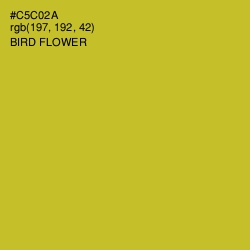 #C5C02A - Bird Flower Color Image