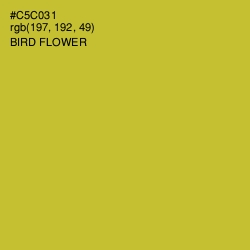 #C5C031 - Bird Flower Color Image