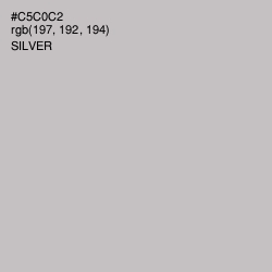 #C5C0C2 - Silver Color Image