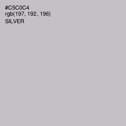 #C5C0C4 - Silver Color Image