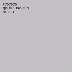 #C5C0C5 - Silver Color Image