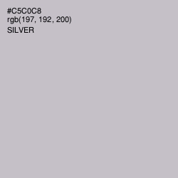 #C5C0C8 - Silver Color Image