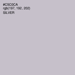 #C5C0CA - Silver Color Image