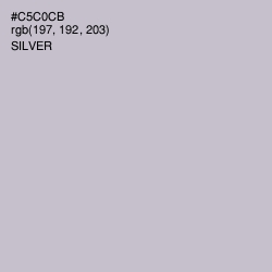 #C5C0CB - Silver Color Image