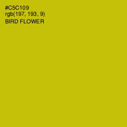 #C5C109 - Bird Flower Color Image