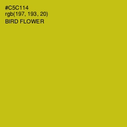 #C5C114 - Bird Flower Color Image