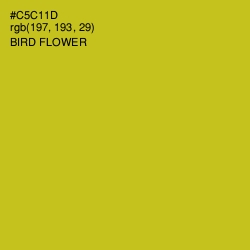 #C5C11D - Bird Flower Color Image