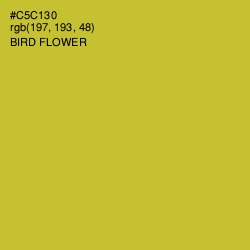 #C5C130 - Bird Flower Color Image
