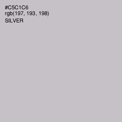 #C5C1C6 - Silver Color Image