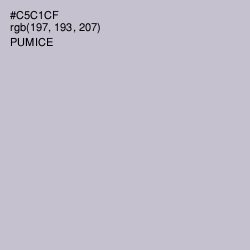 #C5C1CF - Pumice Color Image