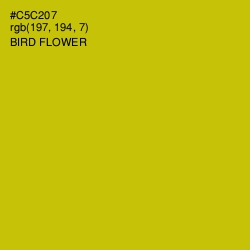 #C5C207 - Bird Flower Color Image