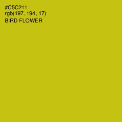 #C5C211 - Bird Flower Color Image