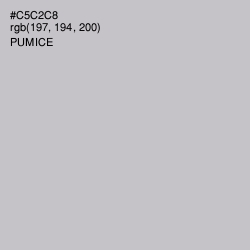 #C5C2C8 - Pumice Color Image