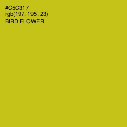 #C5C317 - Bird Flower Color Image