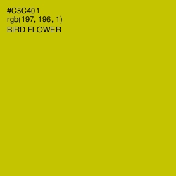 #C5C401 - Bird Flower Color Image