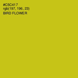 #C5C417 - Bird Flower Color Image