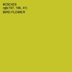 #C5C429 - Bird Flower Color Image