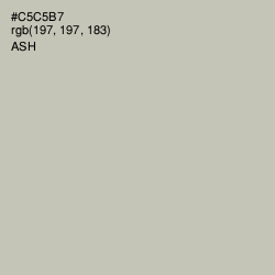 #C5C5B7 - Ash Color Image