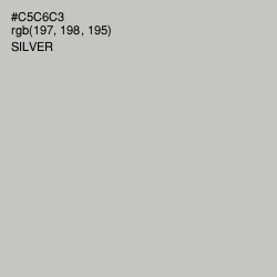 #C5C6C3 - Silver Color Image