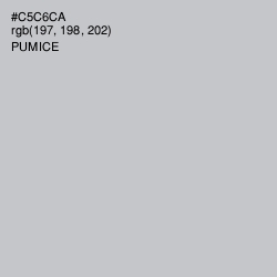 #C5C6CA - Pumice Color Image