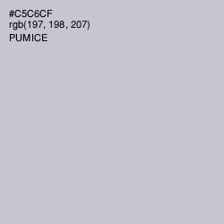 #C5C6CF - Pumice Color Image