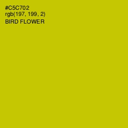 #C5C702 - Bird Flower Color Image