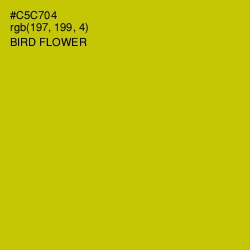 #C5C704 - Bird Flower Color Image