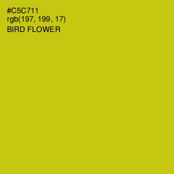 #C5C711 - Bird Flower Color Image