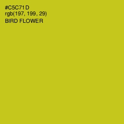 #C5C71D - Bird Flower Color Image