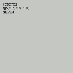 #C5C7C2 - Silver Color Image