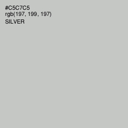 #C5C7C5 - Silver Color Image
