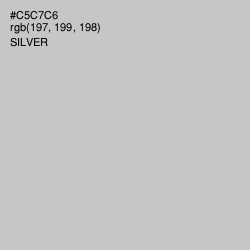 #C5C7C6 - Silver Color Image