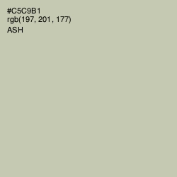 #C5C9B1 - Ash Color Image