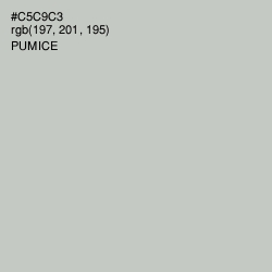 #C5C9C3 - Pumice Color Image