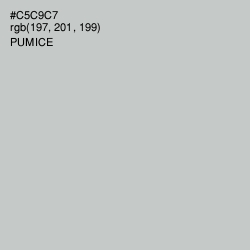 #C5C9C7 - Pumice Color Image