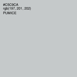 #C5C9CA - Pumice Color Image